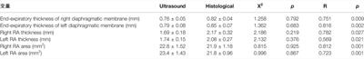 Ultrasound Analysis of Respiration-Related Muscles in Rats